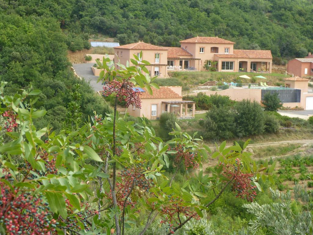 Domaine De Flo Acomodação com café da manhã Saint-Jean-de-la-Blaquiere Exterior foto